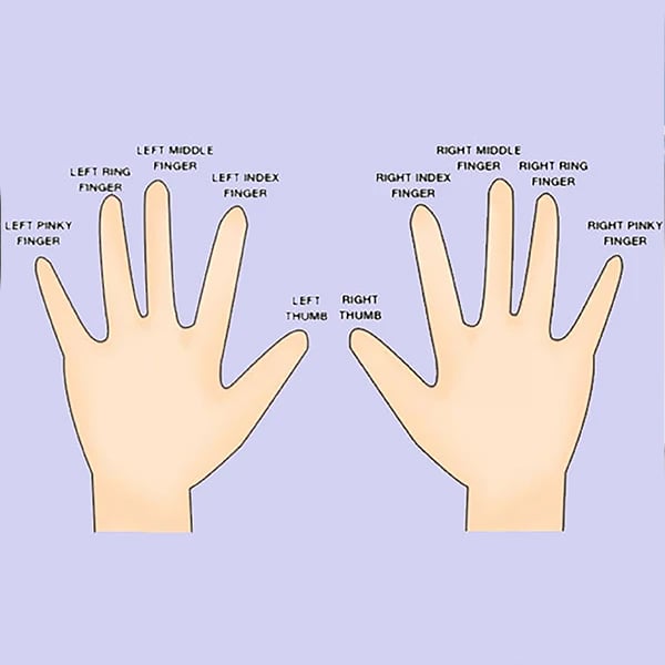 Appal driehoek wazig Ring Finger | Which Finger is the Ring Finger? - Abelini