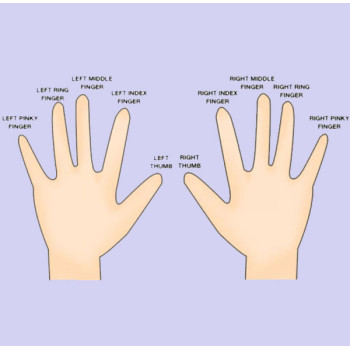 WHICH FINGER IS THE | RING FINGER?